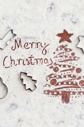 repas de noël, veggie, vegan, végétarien