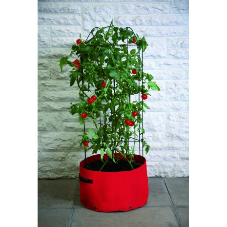 sac-de-plantation-tomates-et-tuteur.jpg