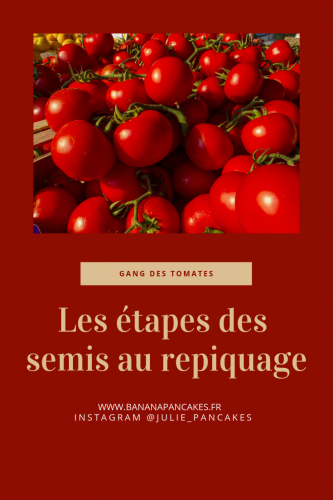 gangdestomates,jardinage,potager,potager urbain,intérieur,plants,semis,conseils